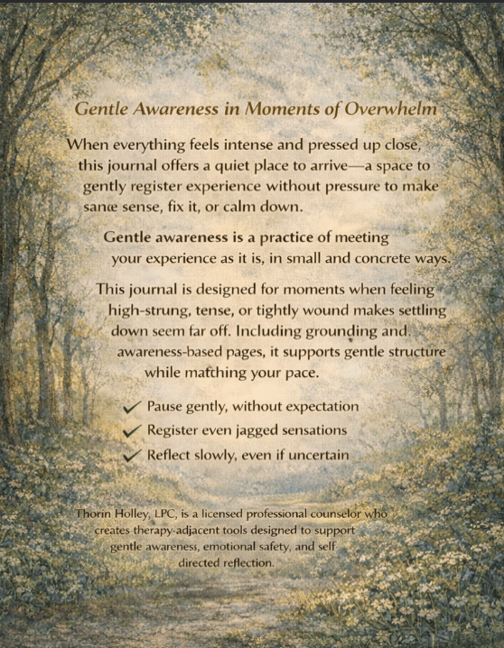 The Gentle Awareness Journal: When Everything Feels Like Too Much: Overwhelm, Anxiety and Emotional Safety